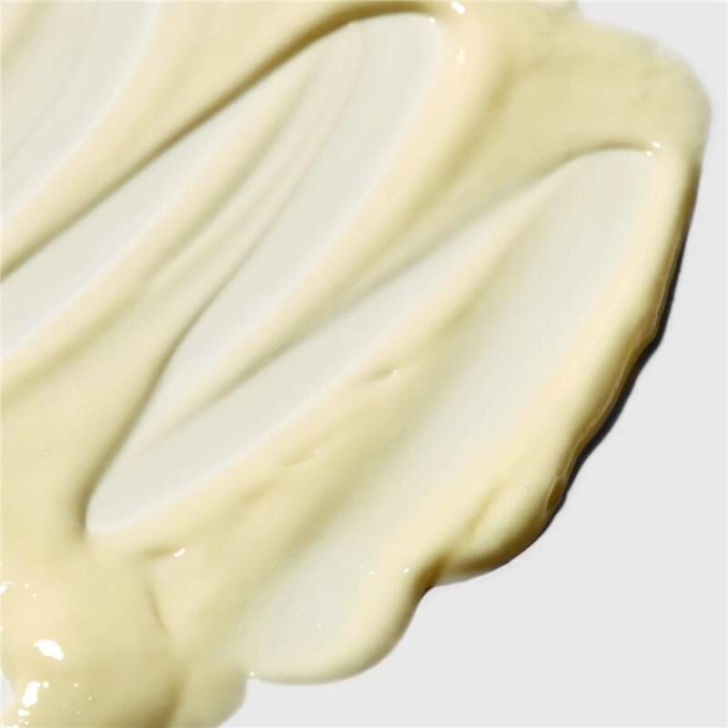 pai skincare salvation jane hyaluronic acid moisturiser