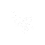 faces سيروم الجسم المضاد للأكسدة بالجاردينيا والشاي