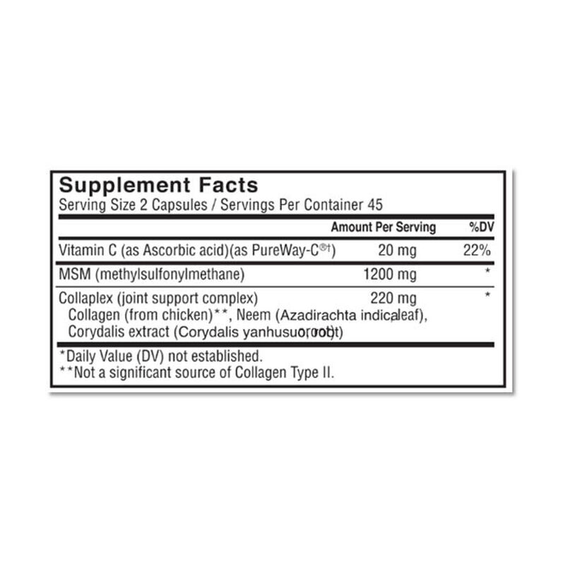 sunshine nutrition mega msm capsules