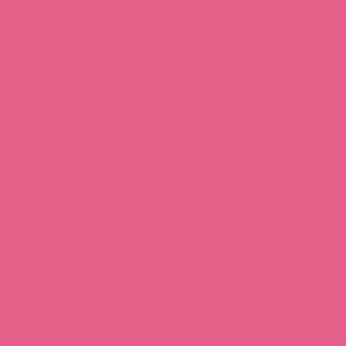 faces stick blush