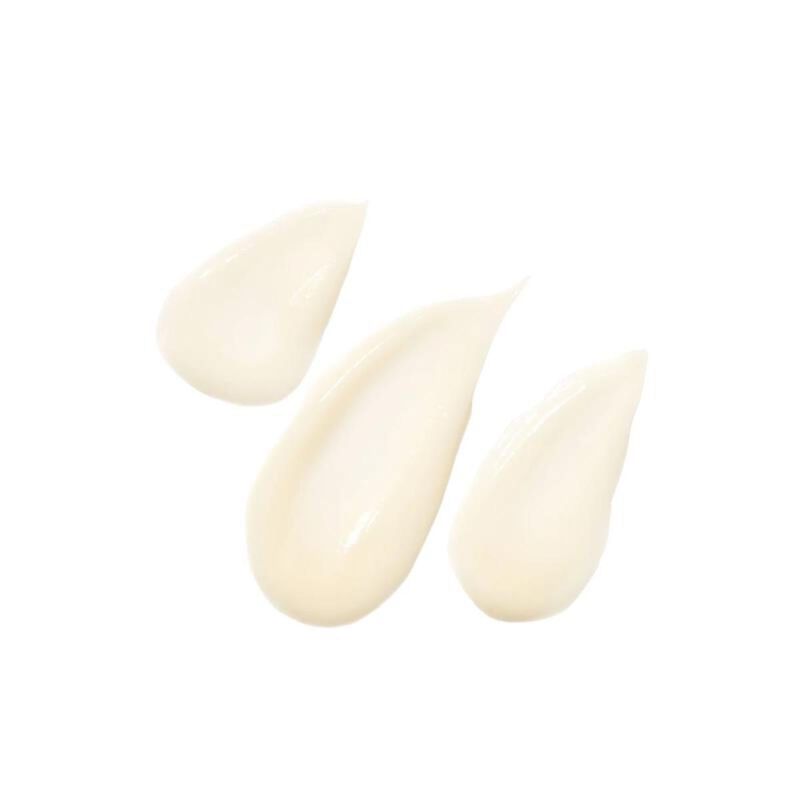 ايجنت ناتور كريم الوجه فلتر فيس