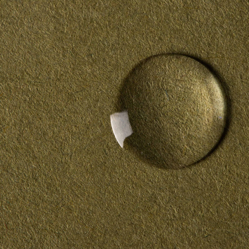 ashri skin total remedy toner