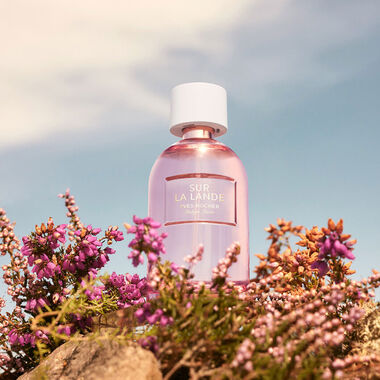 faces عطر سوغ لا لاندي