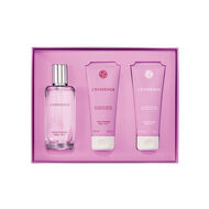 faces مجموعة لي إيفيدنس