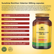 faces جذر النعناع البري