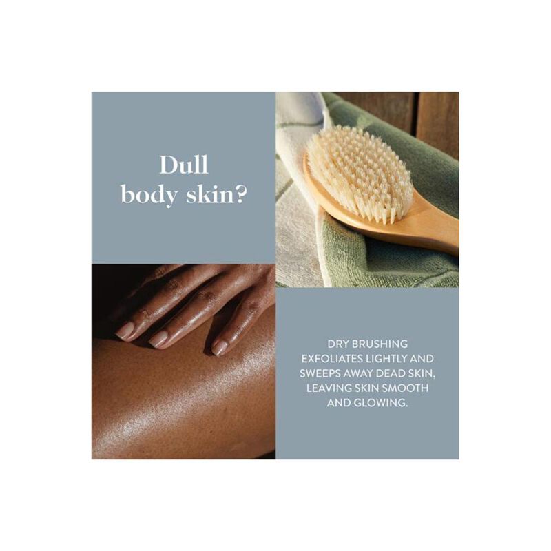 goop g.tox ultimate dry brush