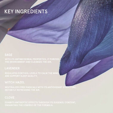 faces energy clearing mist
