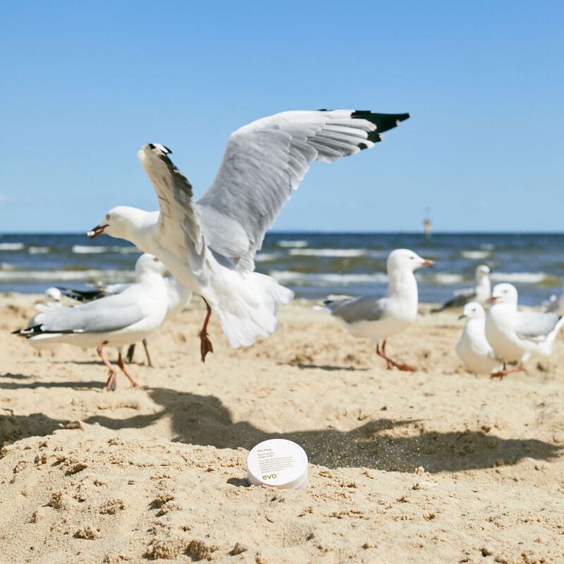 evo the shag beach paste
