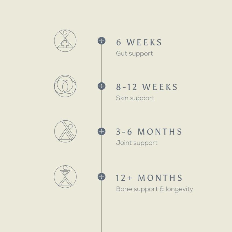 ancient + brave true collagen