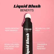 faces all day liquid blush
