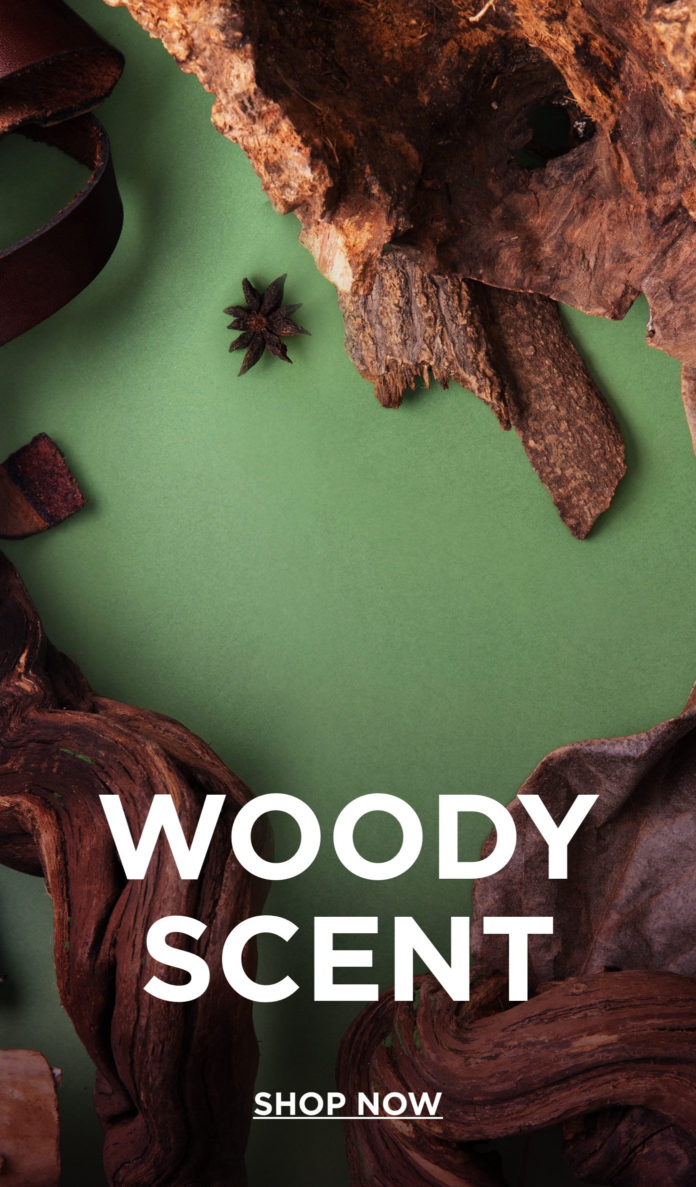 Image without a name 